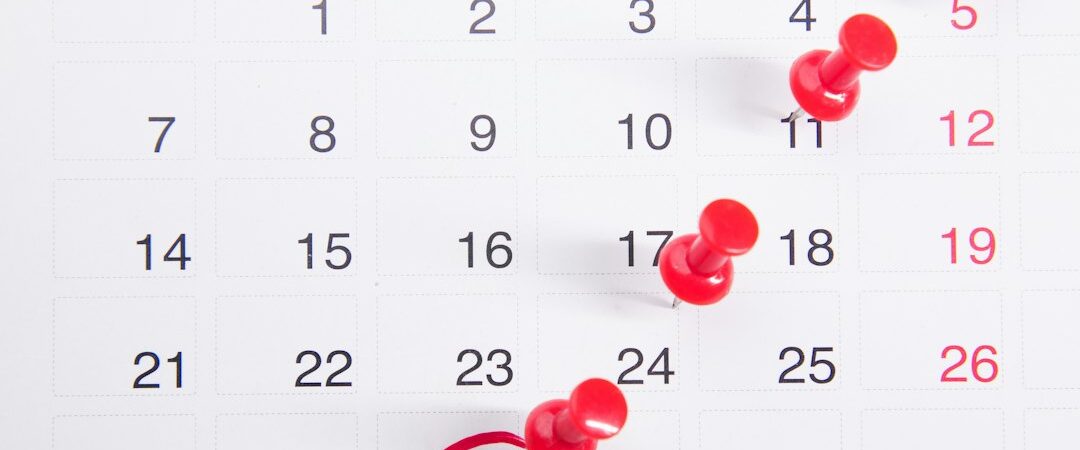 Fourteen days: what Cyber Essentials now expects your people to do